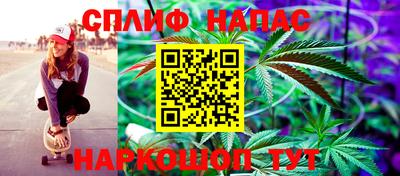 Альфа ПВП Ливны