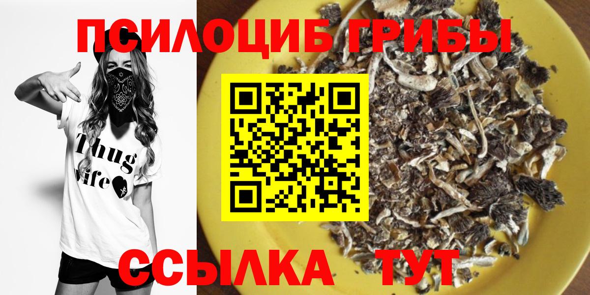 Псилоцибиновые грибы мицелий Холмск