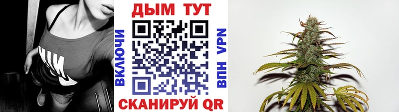 Бошки марихуана Amnesia  купить наркотики цена  MEGA маркетплейс  Холмск 