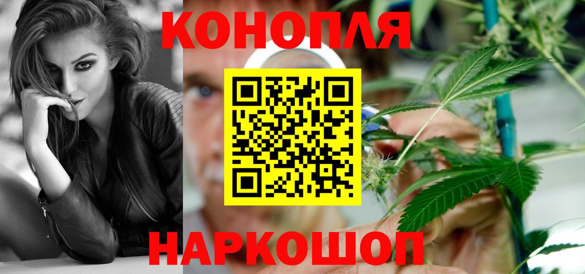Марихуана сатива Холмск
